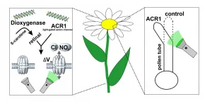 A boost for plant research