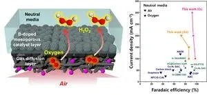 A breakthrough in green hydrogen peroxide production: KIST develops carbon catalyst utilizing airborne oxygen 3