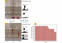 A bridge between hydrophobicity and hydrophilicity of flax fiber: A breakthrough in the multipurpose oil-water separation field