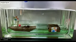 A chemical claw machine bends and stretches when exposed to vapors