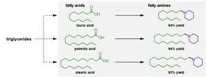 A chemical reaction key to various industries just got greener 3