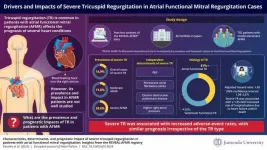 A closer look at severe tricuspid regurgitation in AFMR patients