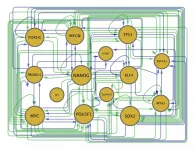 A computational guide to lead cells down desired differentiation paths