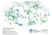 A conservation market could incentivize global ocean protection 2