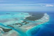 A coral superhighway in the Indian Ocean 3