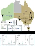 A cost-efficient path to a renewable energy grid for Australia