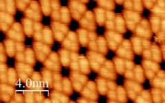 A direct look at OLED films leads to some pretty exciton findings