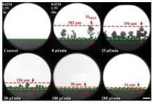 A fluid solution to dendrite growth in lithium metal batteries