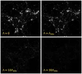 A formula for life? New model calculates chances of intelligent beings in our Universe and beyond