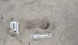 A fossil first: Scientists find 1.5-million-year-old footprints of two different species of human ancestors at same spot 3