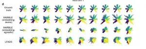 A geometric deep learning method for decoding brain dynamics