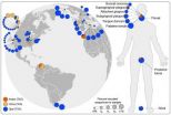 A glimpse into natures looking glass -- to find the genetic code is reassigned