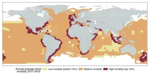 A global study reveals pathways to save threatened sharks, despite rising mortality trends