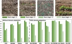 A high-throughput AI method for leaf counting 2