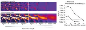 A highly sensitive technique for measuring the state of a cytoskeleton