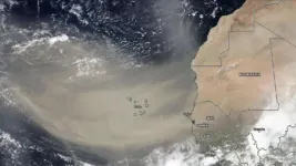 A history of African dust