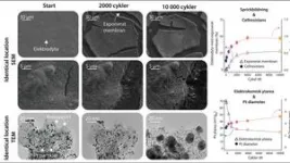 A method that paves the way for improved fuel cell vehicles 2