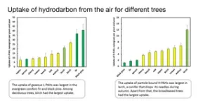 A mixture of trees purifies urban air best 2