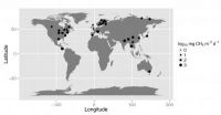 A more potent greenhouse gas than CO2, methane emissions will leap as Earth warms