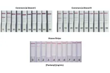 A much more sensitive fentanyl detection strip, thanks to physics