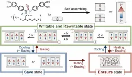 A nano switchable polar column system that allows high-density data storage