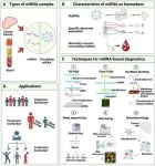 A new chapter in cancer treatment: Innovative strategies and technologies of miRNA 2