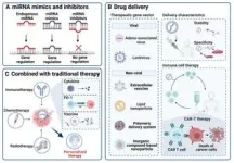 A new chapter in cancer treatment: Innovative strategies and technologies of miRNA 3