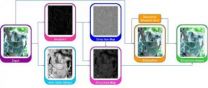 A new effective approach for image stylization as proposed by researchers from China