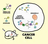 A new generic treatment for multiple types of cancer