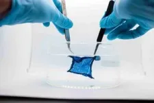 A new hydrogel semiconductor represents a breakthrough for tissue-interfaced bioelectronics 3