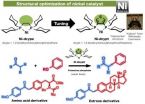 A new 'Kabuto-like' nickel catalyst forms bioactive frameworks from phenol derivatives 2