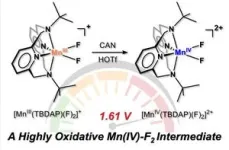 A new manganese-fluorine catalyst with exceptional oxidizing power 2