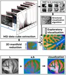 A new perceptually-consistent method for MSI visualization