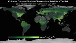 A new satellite-measured Solar-induced Chlorophyll Fluorescence (SIF) product aims to improve carbon neutrality research