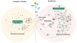 A new study reveals key role of plant-bacteria communication for the assembly of a healthy plant microbiome supporting sustainable plant nutrition