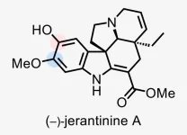 A new, sustainable source for a promising cancer killer