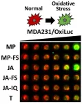 A new, sustainable source for a promising cancer killer 2