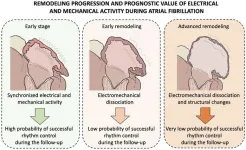 A new technique offers improved diagnostic precision and a route to personalized therapy for a common arrhythmia that affects more than 10 million people in Europe