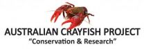 A new tiny species of crayfish from the swamps of coastal eastern Australia 3