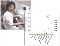 A new tuberculosis vaccine candidate recombinant protein with additional post-translational modifications occurring in Mycobacterium tuberculosis cells