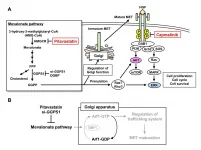 A new type of recyclable: Finding new uses for established drugs