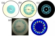 A new understanding of patterns in fluid flow