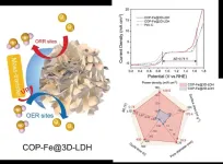 A newly hierarchically porous pyrolysis-free bifunctional catalyst to boost ultralong lifespan zinc-air batteries