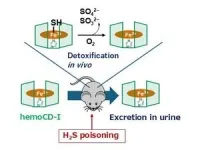 A novel heme-model compound that treats lethal gas poisoning 2