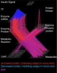 A novel method for easy and quick fabrication of biomimetic robots with life-like movement 3