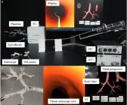 A novel robotic bronchoscope system for navigation and biopsy of pulmonary lesions