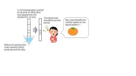 A novel solution to safeguard Japans unique citrus cultivars and their breeders’ rights