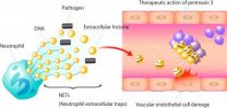 A novel therapy for sepsis?