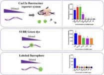 A panoramic view on lithium-mediated electrochemical dinitrogen reduction reaction 2