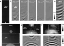 A pathway to environmental restoration: Sustainable strategies for cesium removal from radioactive wastewater 3